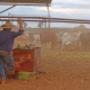 Agribusiness Lawyers
