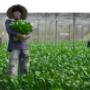 Environmental Lawyers Australia