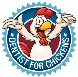 Dentist for Chickens - Swansea Dental Care