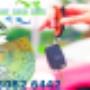cash for cars Brisbane