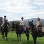 Horse Trail Rides in the Yarra Valley