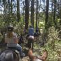 Melbourne Horse Rides