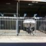 Secure storage for boats Phillip Island