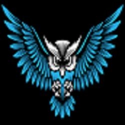 Owl Web Design