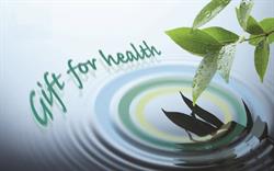 Dr. Li's TCM Clinic