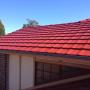 Roof Painting