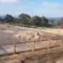 Horse Arena Fencing