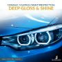 Car Paint Protection