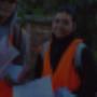 Letterbox Distribution