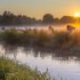 direct cremation cranbourne