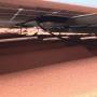 anewsolar