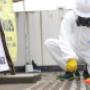 Asbestos removal service