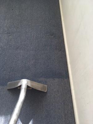 carpet-cleaning-brisbane