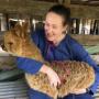 Dr Lauren and the cute cria