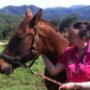 Dr Lauren helping a horse