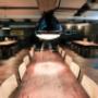 Our dining room is the perfect place to share a laid back dinner with ya mates.