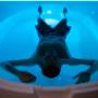 Isolation Tank and Epsom Salts