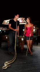 Custom Pool Cues