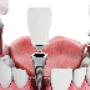 Dentist 2
