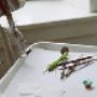 Dentist 3