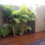 decking contractor mornington peninsula