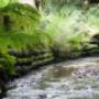 TerraLock water control
