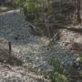 Total Environmental Concepts - Environmental Consultants Brisbane