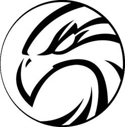 Web Design Hawks