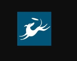 Greyhounds As Pets
