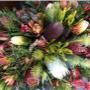 We love native flowers for any occasion.