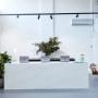 Edwards And Co. Surry Hills Salon Interior