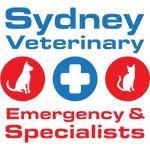 Sydney Veterinary Emergency & Specialists