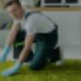 Carpet Cleaning Frankston