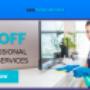 Professional Cleaning Services