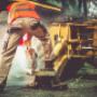 Tree Loppers on The Mornington Peninsula
