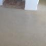 Professional Carpet Cleaning