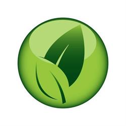 Infuse Health - Yoga, Movement & Strength Newcastle