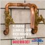 Little Pommie Plumber
