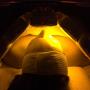 Healite LED 830 invisible light