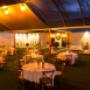Wedding Reception