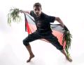 Indigenous Aboriginal Artists