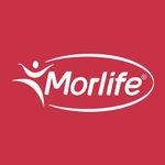 Morlife Pty Ltd