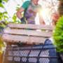 Skip Bins for that Spring clean up or moving house.