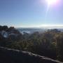 Bin Hire Mornington Peninsula
