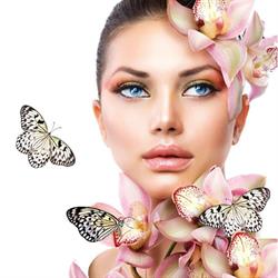 Beauty and Lashes by Donna