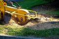 Stump Grinding Sydney