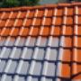 Roof Painting