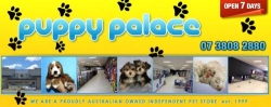 Puppy Palace Pet Shop.