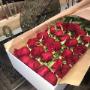 Flower shop