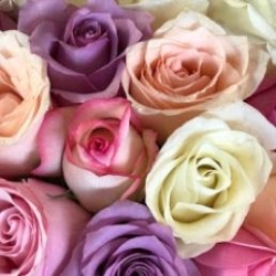 La Fleurs and Co